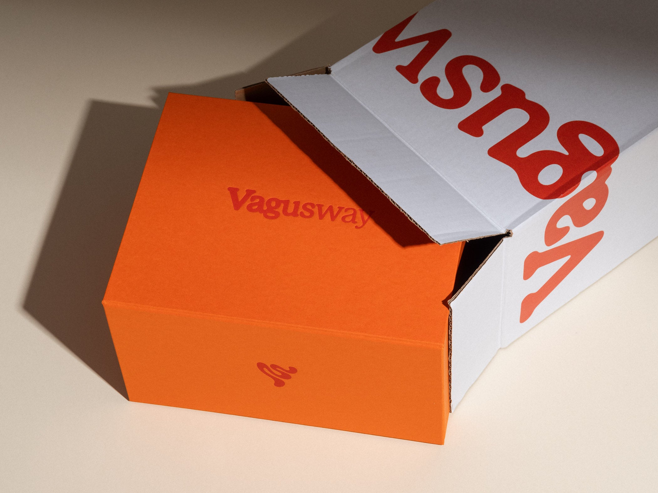 Vagusway Lab