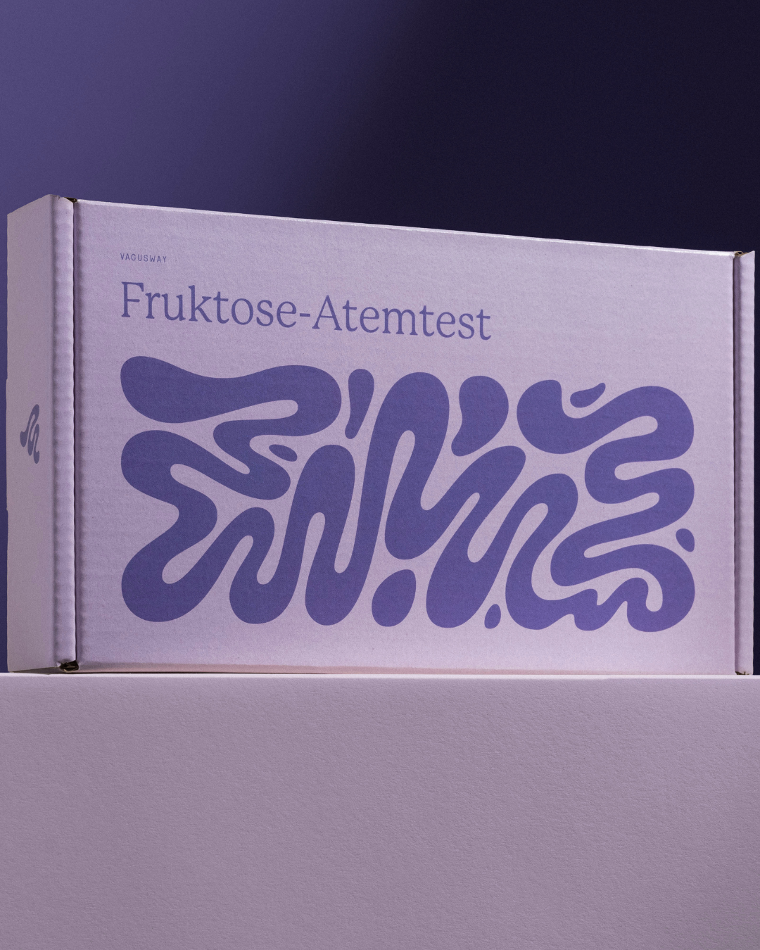 Fruktoseintoleranz Test