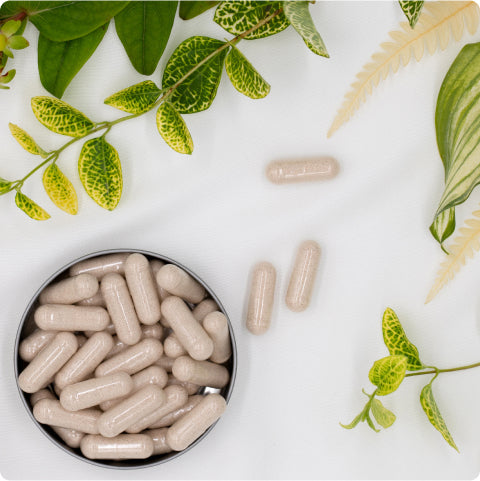 Vitamin D bleibt niedrig trotz Einnahme? Ursachen und Aufnahme mitdenken