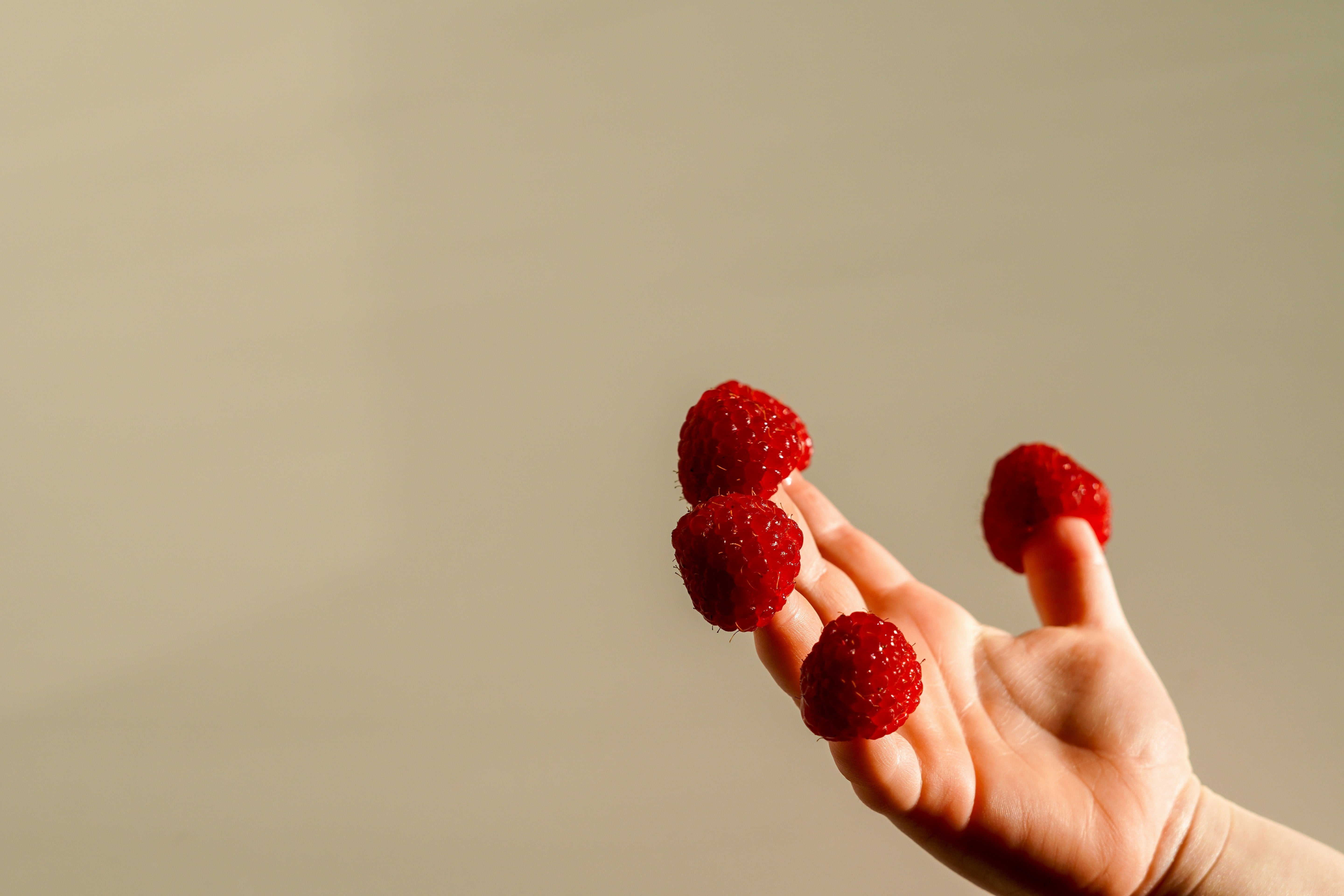 FODMAP-Diät mit Plan – so findest Du die Lebensmittel, die Deinem Bauch guttun